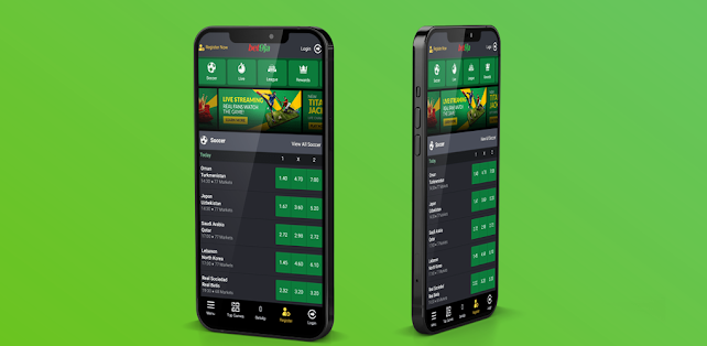 Mobile Experience and Compatibility